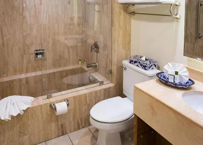 2bd Standard At Del Palmar Cabo Villa *